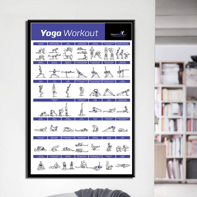Таблица тренировок по телу, уп – обзор и цена Home Gym York