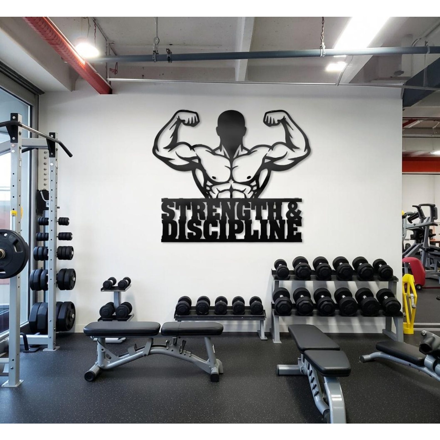 CIFBUY Железное настенное укра – обзор и цена Home Gym In Garage
